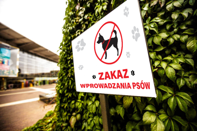 Tablica informacyjna duża zakaz wprowadzania psów
