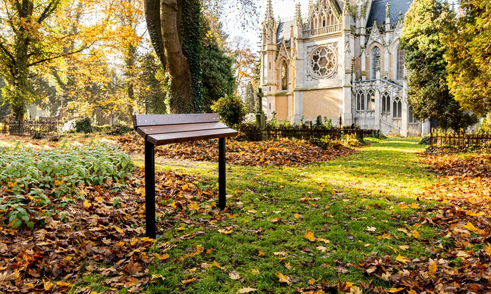 Przysiadek miejski Midas