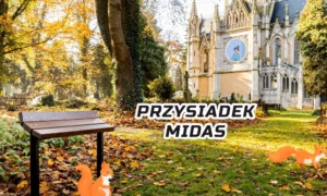 Przysiadek miejski Midas - obrazek 2
