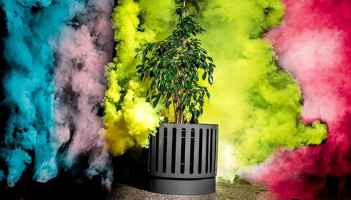 Kolorowy zawrót głowy!