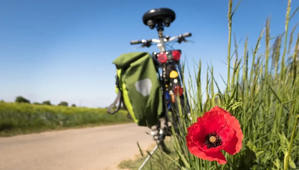 Jazda na rowerze – aktywność i relaks w jednym!