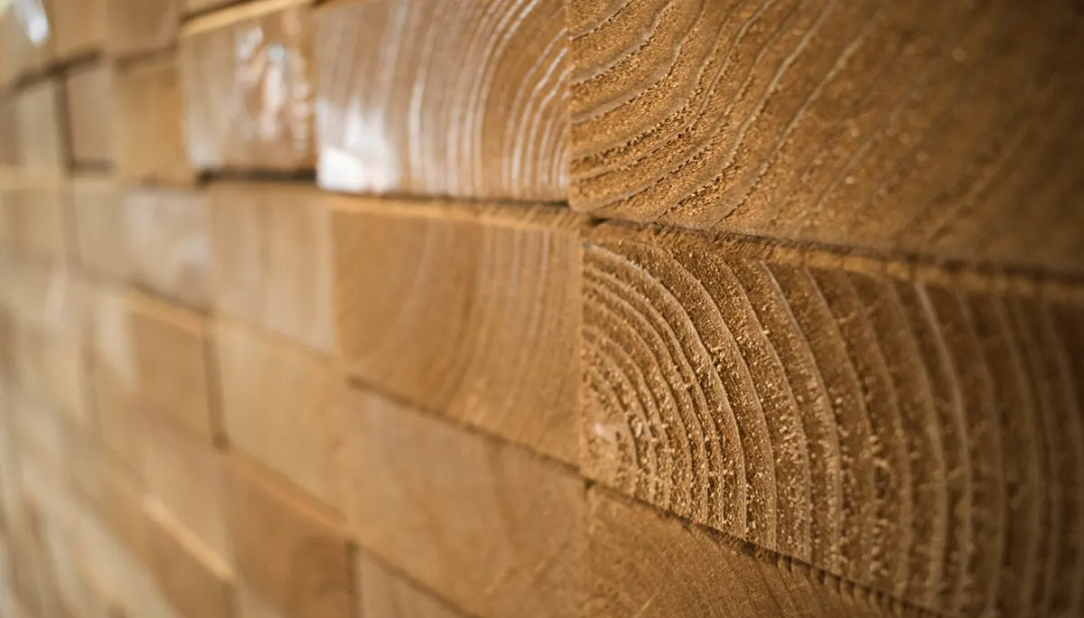 Drewno sercem ławki