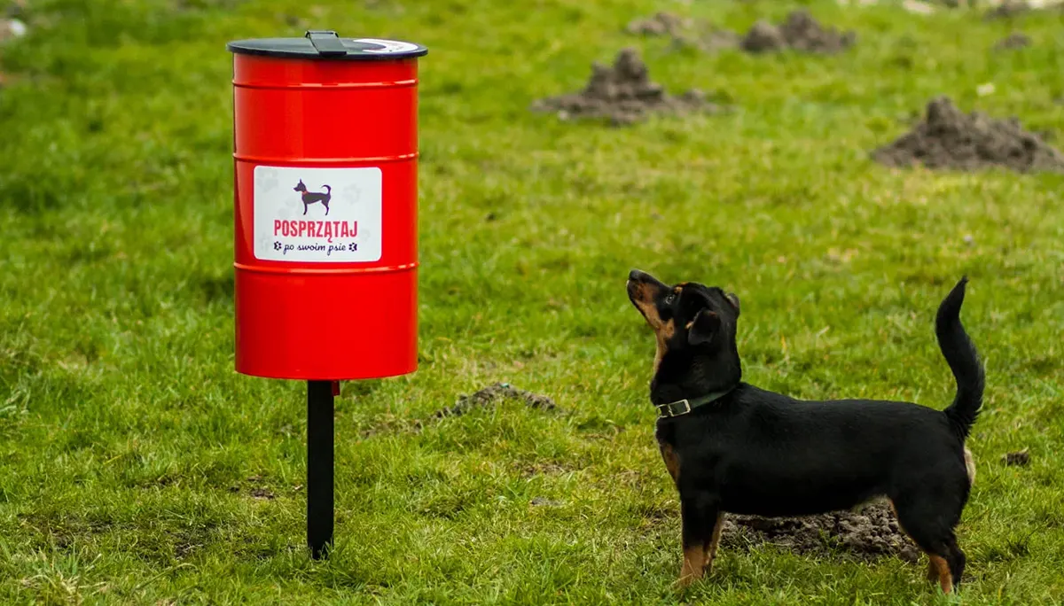 Czworonożni przyjaciele