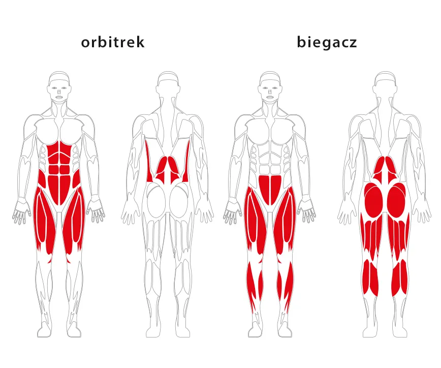 Orbitrek i biegacz JW 03 – JW 04