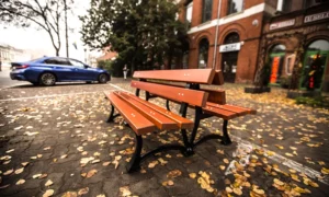 Ławka parkowa Łódzka DUO