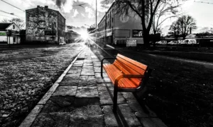 Ławka parkowa Viking Bis