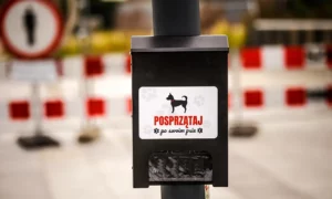 Dystrybutor woreczków Fibi