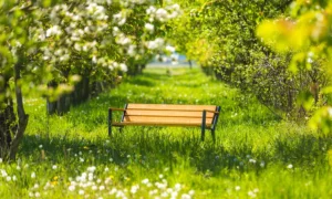 Ławka parkowa Gladiator Bis z podl. drewnianym