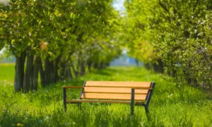 Ławka parkowa Gladiator Bis z podl. drewnianym