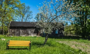 Ławka parkowa Gladiator Bis z podl. drewnianym