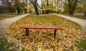 Ławka parkowa ST1