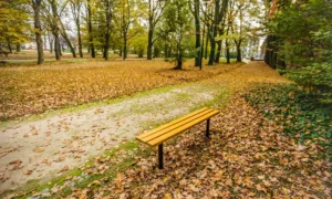 Ławka parkowa ST3