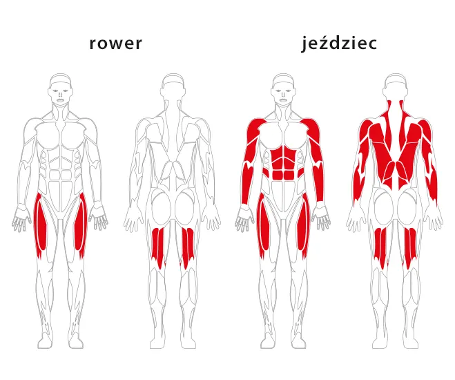 Rower i jeździec JW 09 – JW 10
