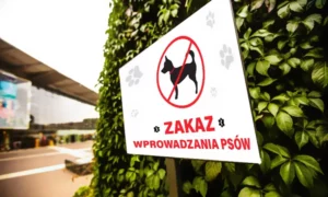 Tabliczka informacyjna – duża