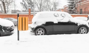 Kosz na śmieci Genewa