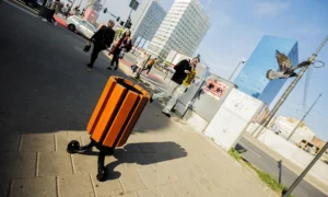 Kosz na śmieci Praga