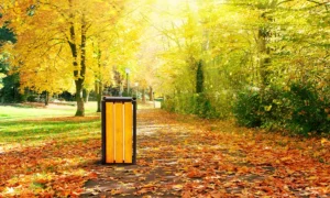 Kosz na śmieci Singiel Bis