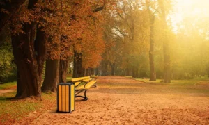 Kosz na śmieci Singiel Bis