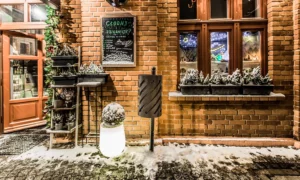 Kosz na śmieci Sofia Bis