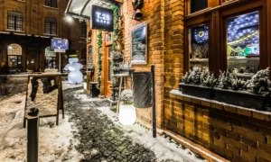 Kosz na śmieci Sofia Bis