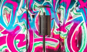 Kosz na śmieci Sofia z daszkiem