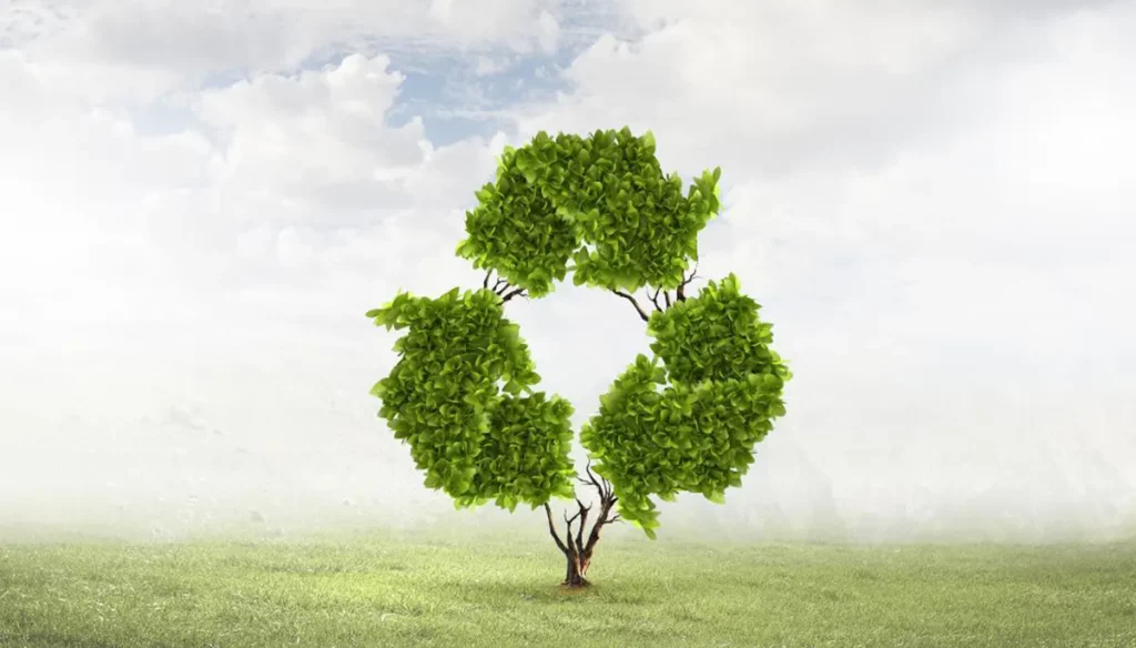 Jak efektywnie rozmieścić kosze do recyklingu w przestrzeni publicznej?